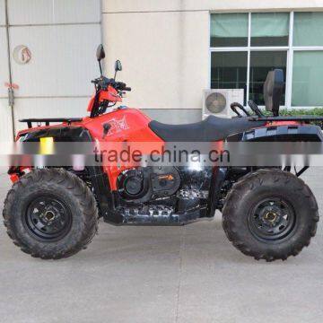 Competitive Price High Quality 2 Seat Four Drivers Atv Quad Bike photo-6