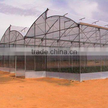 Commercial Greenhouse for Agriculture photo-5