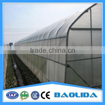 Single-Span agricultural planting plastic greenhouse