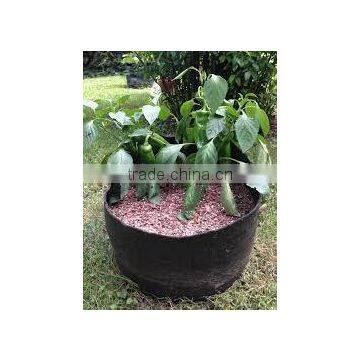 Outdoor Plant Bags Smart Pot Non Woven Plant Bag (1 Gal to 1200 Gal)