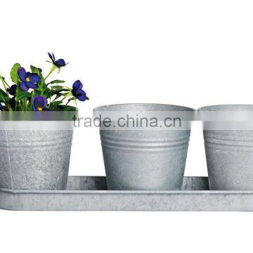 Small zinc pots with tray, Gavanized Flower Planter from Viet Nam