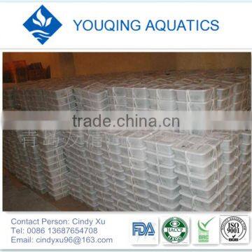 Seafood Seaweed Salad photo-2