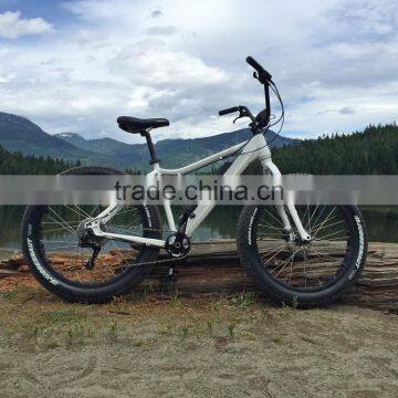 Hot Selling 26 Inch Electric Bike ATV Electric Snow Bike Fat Tire Electric Bike photo-5