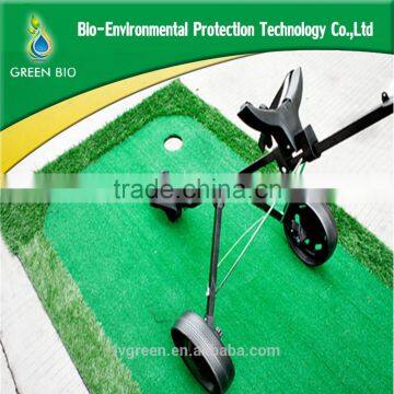 Golf Buggy Push photo-3