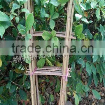 bamboo wood trellis
