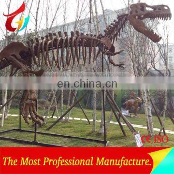 Amusement Park of Dinosaur Fossil Replica