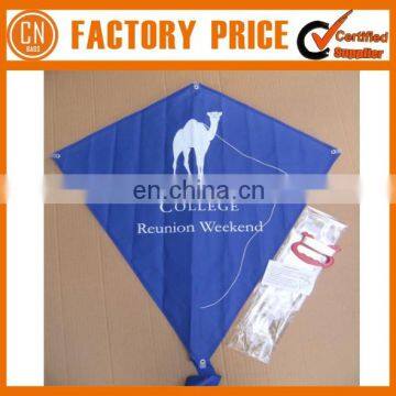 Cheap Diamond Promotional Kite photo-4