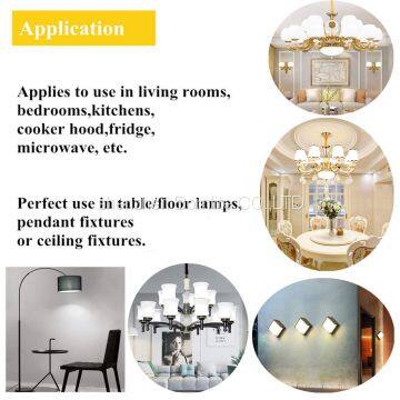 360 Degree LED Mini Bulbs E11 Small Edison Screw Glass Body Bulb Light photo-4