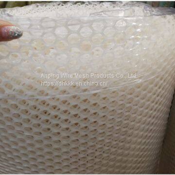 Plastic Flat Net Used for Poultry