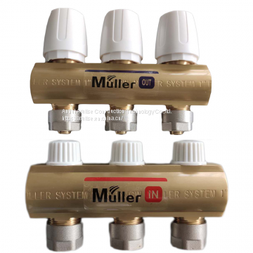 Brass Manifold