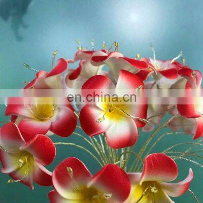 Battery Box String Light String Light Hawaiian Foam Artificial Plumeria Flower Lights for Wedding Beach Party photo-4