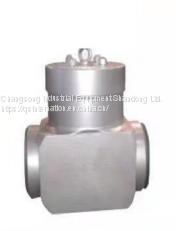 High pressure check valve