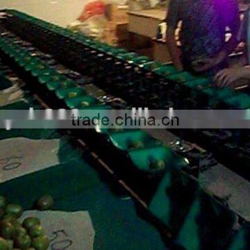 commercial orange grading machine/lemon sorting machine/kiwi sorter machine