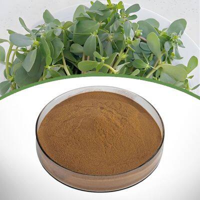 Portulaca Oleracea Extract