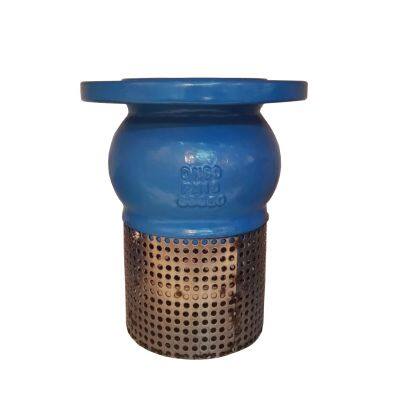 ANSI Foot Valve with Mill Test Report 65-45-12 Ductile Iron Construction