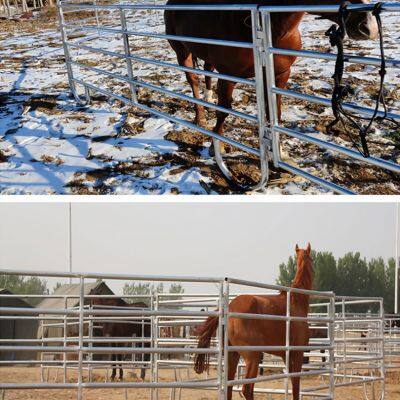 2025 Wholesale Modern Style Steel Horse Fence Panels Chain Link Design Horse Yard Horse Protection photo-3