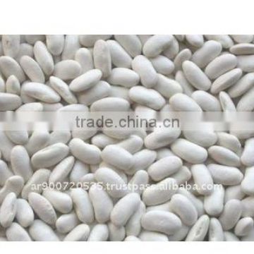 high quality delicious healthy White kidney beans