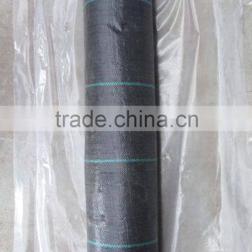 China pp woven ground cover