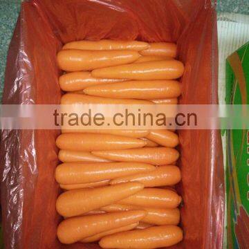 Carrot Price photo-3