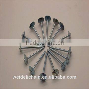 Competitive Price BWG10X2.5" Roofing Nails photo-6