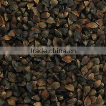 China Black Buckwheat Crop 2011