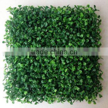 Evergreen outdoor boxwood artificial grass mat for garden decor