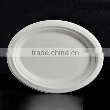 100% Eco-friendly Biodegradable Starch Tableware Pulp Plate Quality Choice photo-3