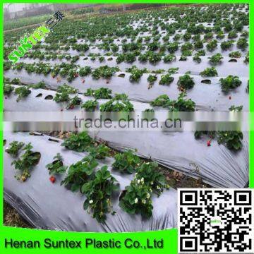 Selling strawberry mulch film/silver black mulch film for prevention grass growth