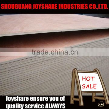 High quality poplar plywood with low price