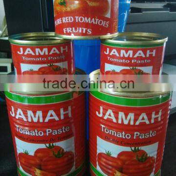 Hot sell 198g*48tins canned tomato paste concentrated 28-30%