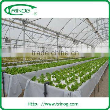 Advanced nft hydroponic systems for sale