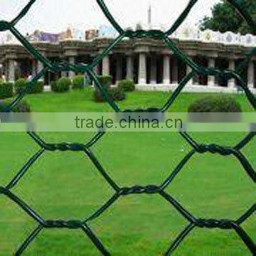 Hexagonal wire netting