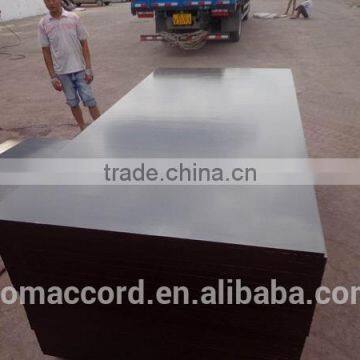 Film Faced Plywood/film faced plywood manufacturer