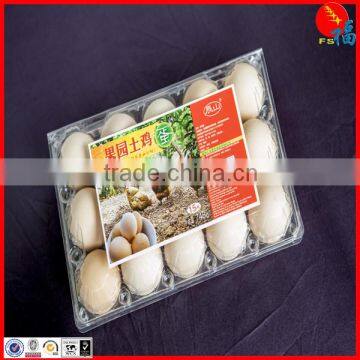 clear egg packing tray