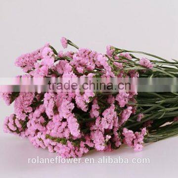 long stem fresh statices flowers for event decoration