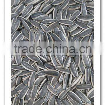 American Sunflower Seeds New Crop