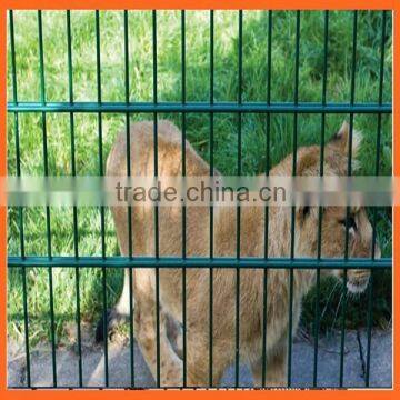 XINHAI Double Wire Mesh Fence Pvc Coated Trellis & Gates Low Carbon Steel Bilateral Wire Fence photo-5