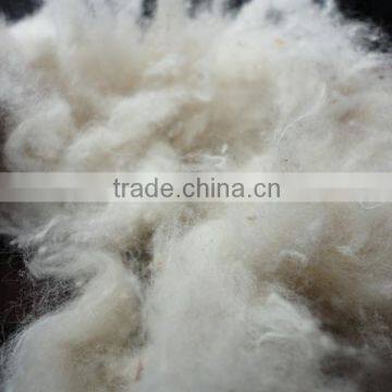 Raw White Cotton Shoddy Fiber/ Cotton Recycle Comber photo-2