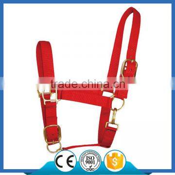 H1004 Nylon Webbing Adjustable Draft Horse Halter