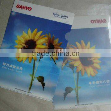 2012 plastic transparent file folders