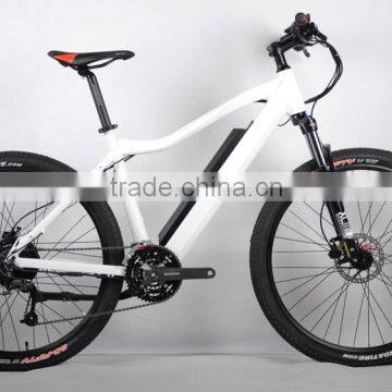 mountain bike 29er ( HJ-M21 )