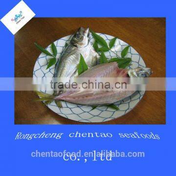 Frozen fillet price of horse mackerel fillet