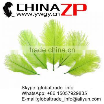 ZPDECOR No.1 Supplier in China Factory Dyed Pale Green Exporting Wholesale from 6'' to 8'' Ostrich Feathers for Sale