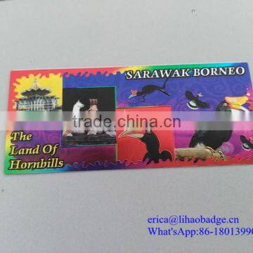 Reflective Vehicle Sticker