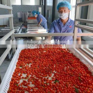 180-750 A Grade Dried Gojiberry From Ningxia photo-3