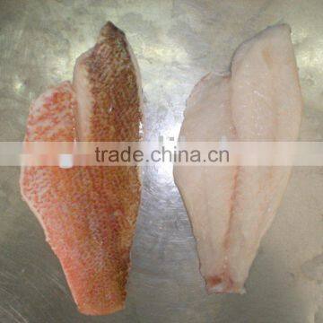 Frozen Red Snapper Fillet
