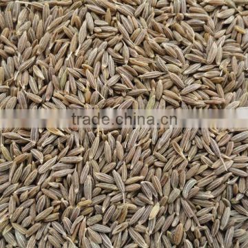 Europe and Singapore Quality Cumin Seed