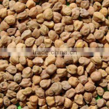 Desi Chickpeas / kabuli chickpeas / Kala Chana / Bengal Gram / Gram / Chana / Pis Chiche / Chihu