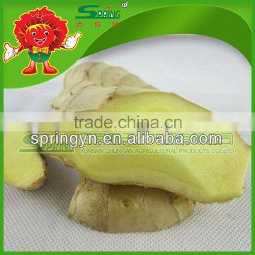 fat mature ginger natural golden yellow ginger ginger price 2013