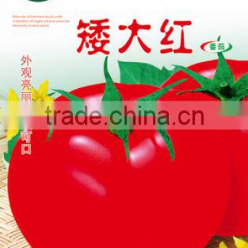 Big Red Tomato Seeds For Growing-Dwarf Big Red